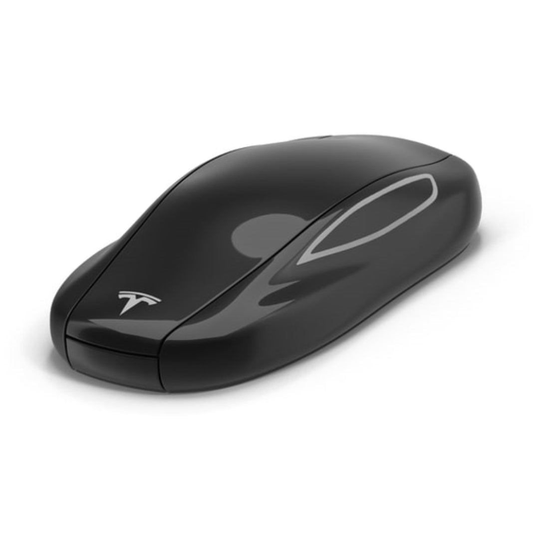 Case for Tesla Model 3 - Kapzy