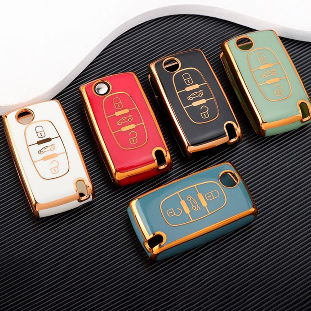 Case for Citroën Xsara, Picasso, C3, C4, C5, C6 - Kapzy